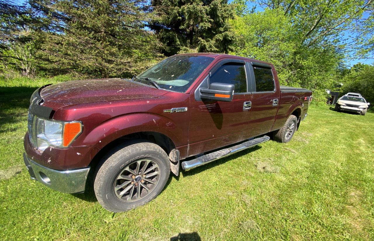 Photo 1 VIN: 1FTFW1EV2AFD81786 - FORD F-150 