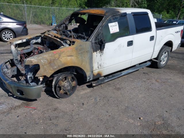 Photo 1 VIN: 1FTFW1EV2AKE73813 - FORD F-150 