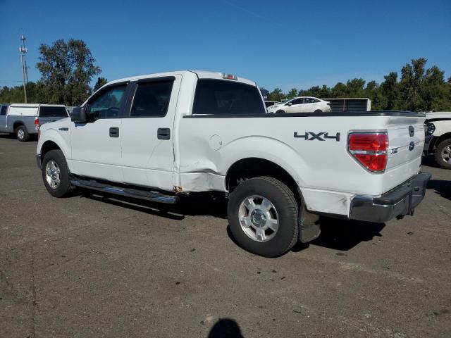 Photo 1 VIN: 1FTFW1EV3AFC07709 - FORD F150 SUPER 