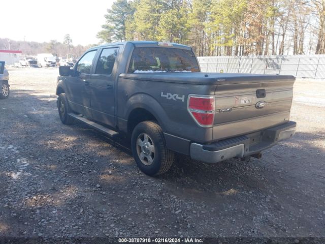 Photo 2 VIN: 1FTFW1EV4AFA21659 - FORD F-150 