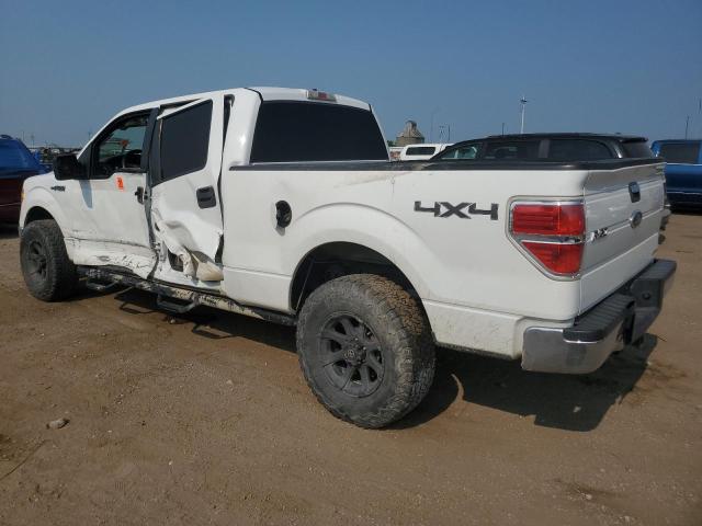 Photo 1 VIN: 1FTFW1EV4AFB47570 - FORD F150 SUPER 