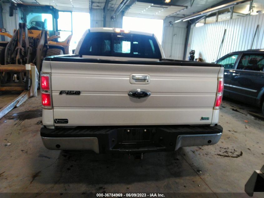 Photo 15 VIN: 1FTFW1EV4AFB60805 - FORD F-150 