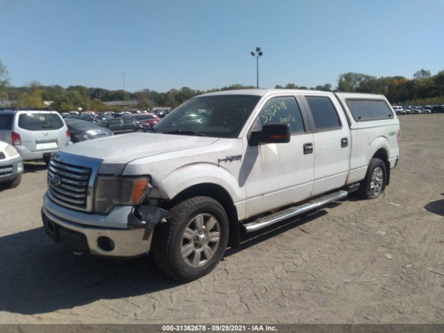 Photo 5 VIN: 1FTFW1EV4AFC05984 - FORD F-150 