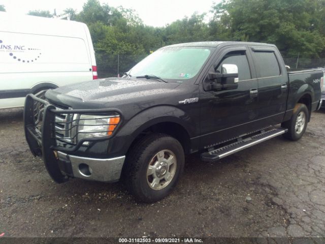 Photo 1 VIN: 1FTFW1EV4AFD74208 - FORD F-150 