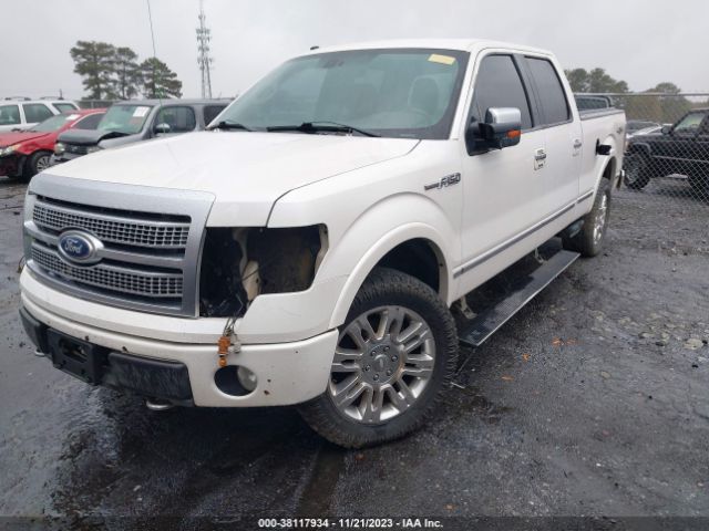 Photo 5 VIN: 1FTFW1EV5AFA54749 - FORD F-150 