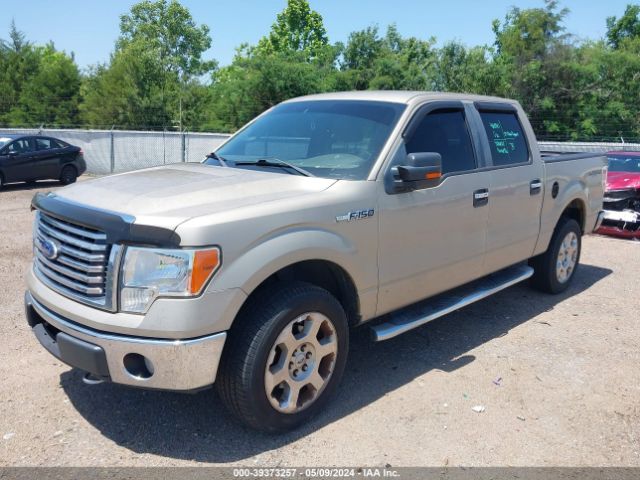 Photo 1 VIN: 1FTFW1EV5AFC20915 - FORD F-150 