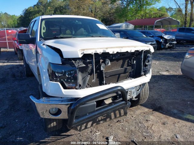 Photo 5 VIN: 1FTFW1EV6AFA55800 - FORD F150 