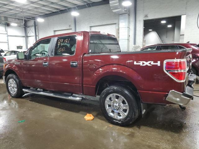 Photo 1 VIN: 1FTFW1EV8AKA76459 - FORD F-150 