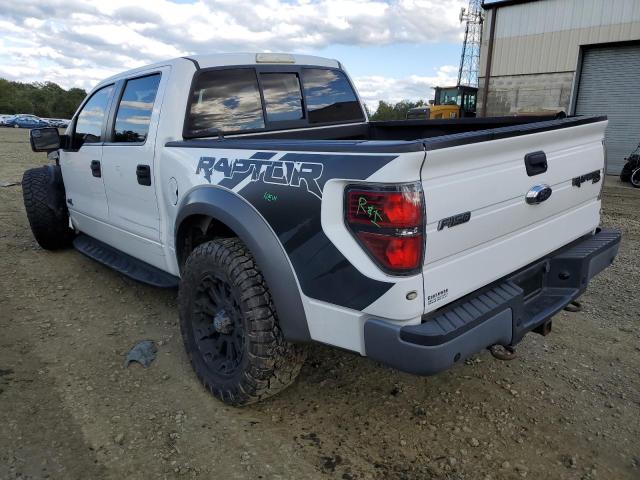 Photo 2 VIN: 1FTFW1R61DFC08719 - FORD F150 SVT R 