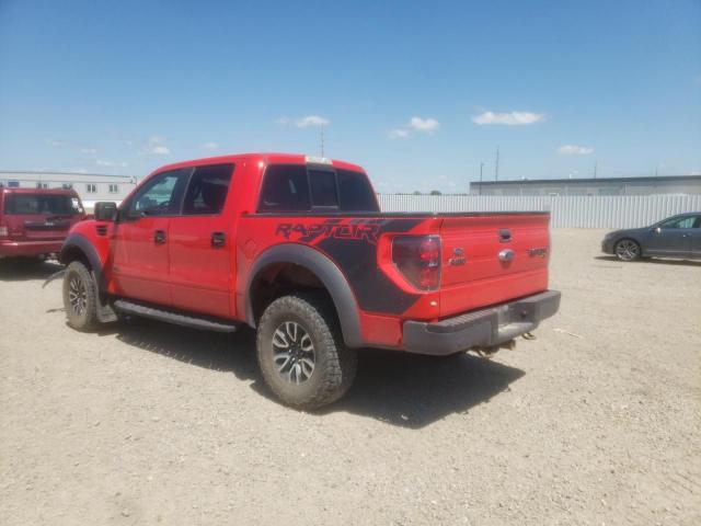 Photo 2 VIN: 1FTFW1R64DFA18848 - FORD F150 SVT R 