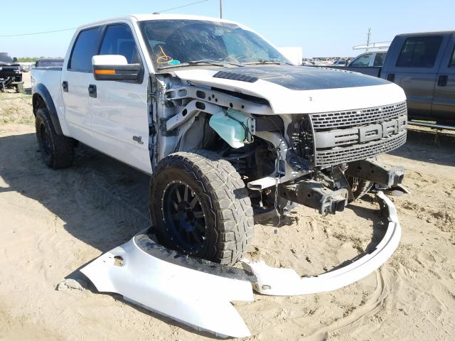 Photo 0 VIN: 1FTFW1R65DFA45590 - FORD F150 SVT R 