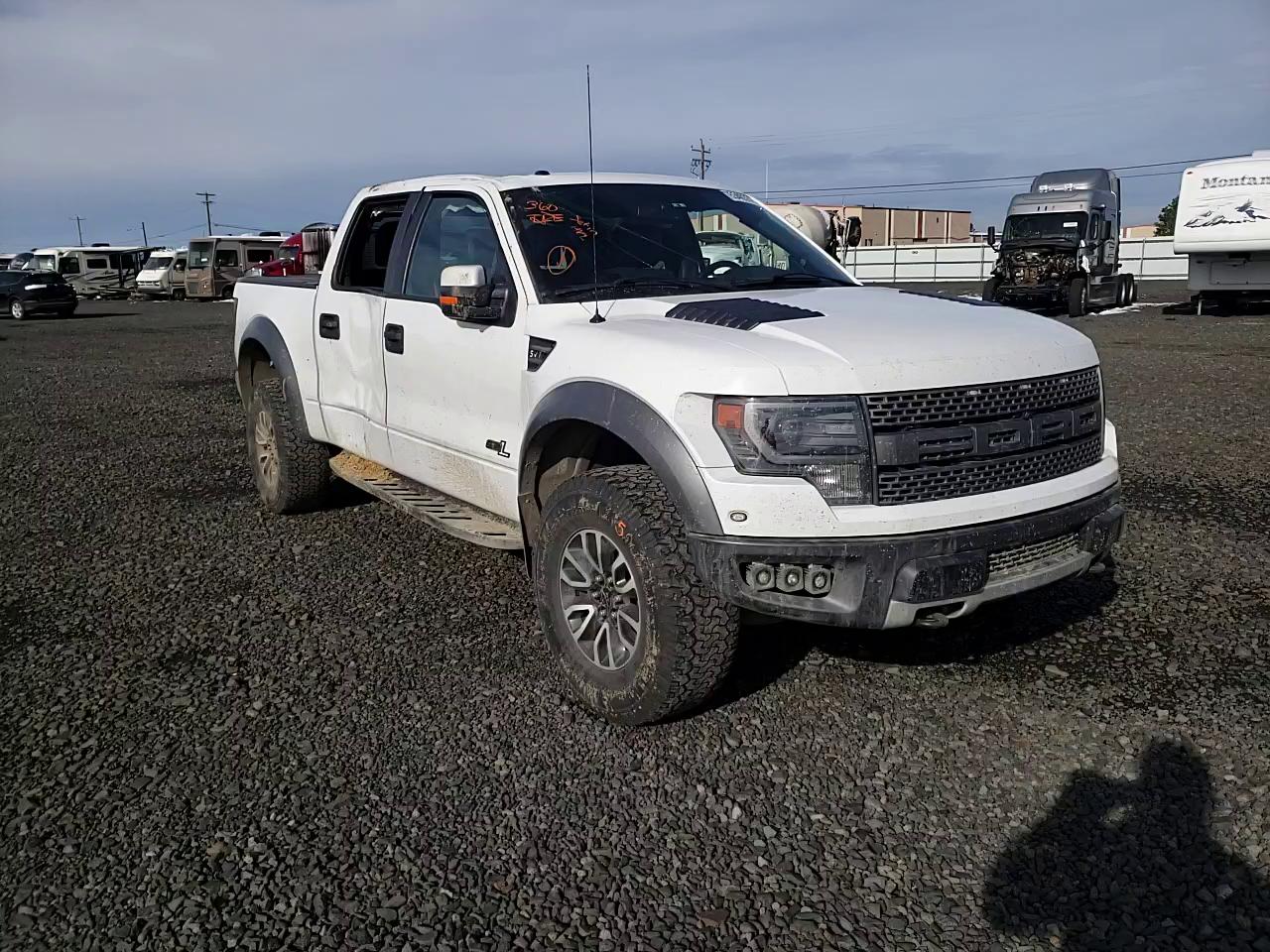 Photo 10 VIN: 1FTFW1R68DFB83706 - FORD F150 SVT R 