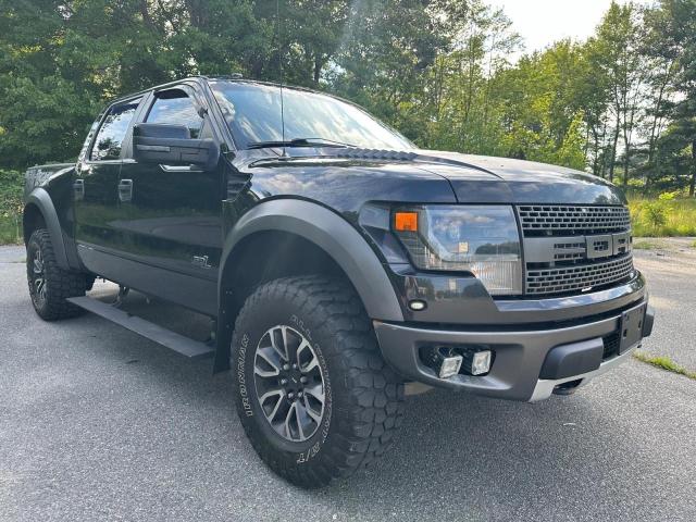 Photo 0 VIN: 1FTFW1R69DFA08137 - FORD F150 SVT R 