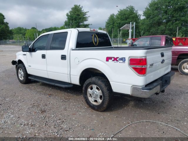 Photo 2 VIN: 1FTFW1VT6EFB33397 - FORD F150 