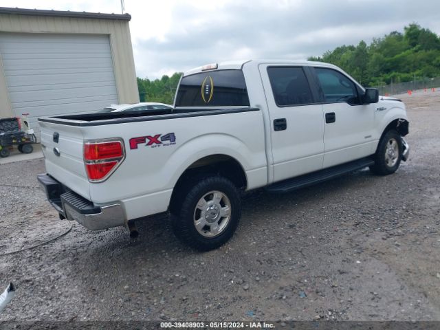 Photo 3 VIN: 1FTFW1VT6EFB33397 - FORD F150 