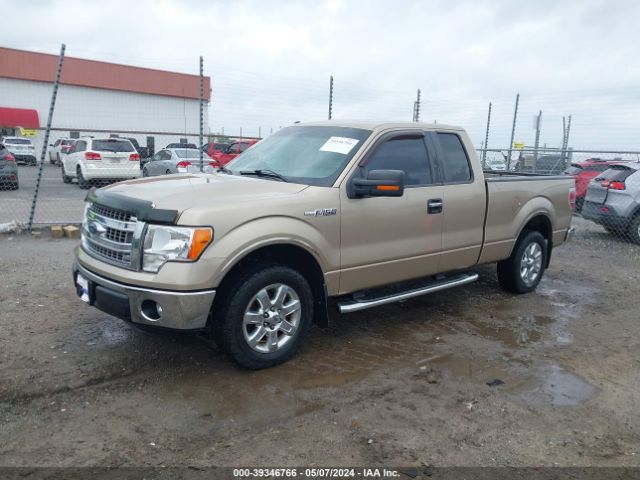 Photo 1 VIN: 1FTFX1CF2DFB64509 - FORD F-150 