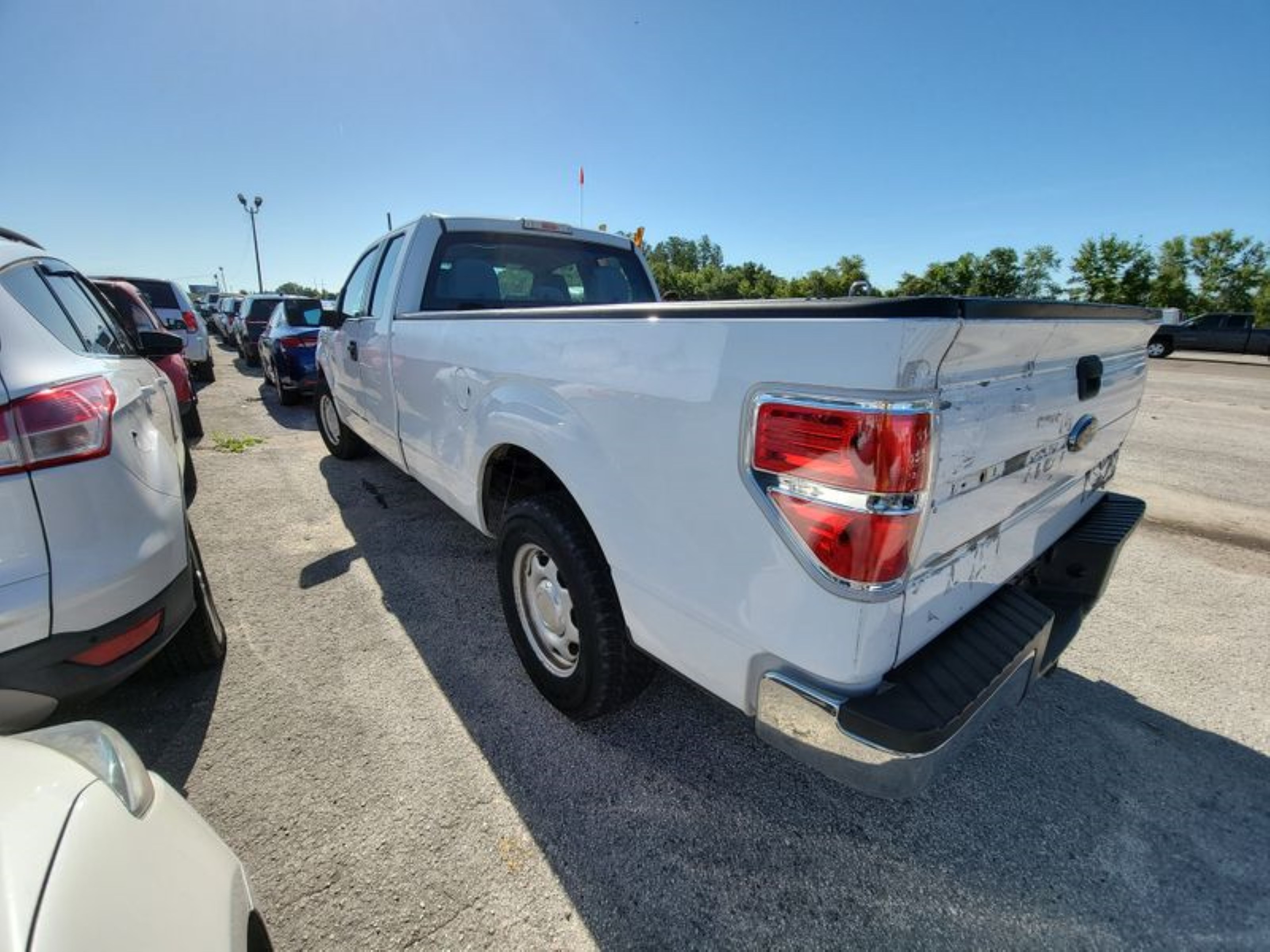 Photo 6 VIN: 1FTFX1CF3EKD09081 - FORD F-150 