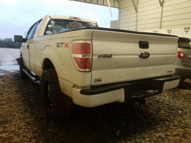 Photo 2 VIN: 1FTFX1CF4DFC61596 - FORD F150 SUPER 