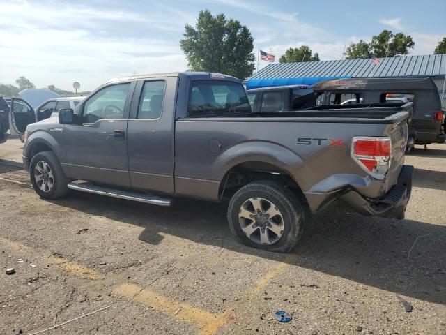 Photo 1 VIN: 1FTFX1CF6DFA67636 - FORD F150 SUPER 