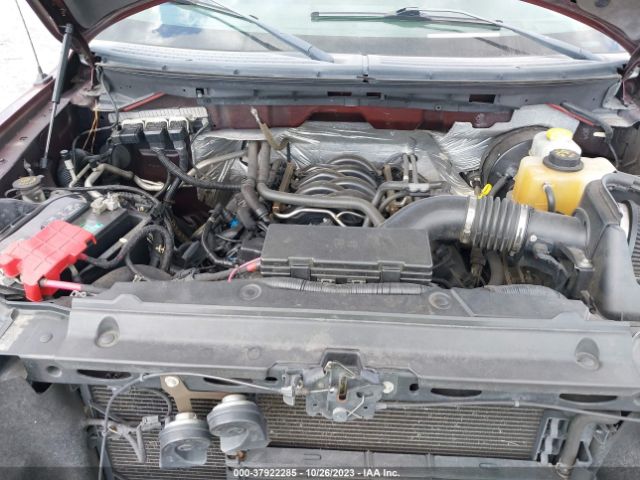 Photo 9 VIN: 1FTFX1CF9EKF50627 - FORD F-150 