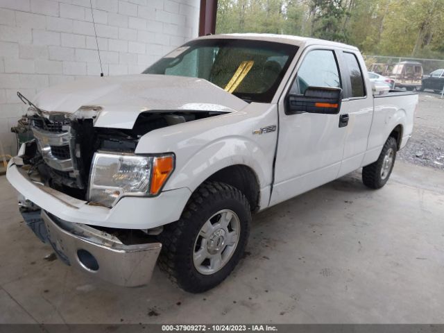 Photo 1 VIN: 1FTFX1CFXEKD33247 - FORD F-150 