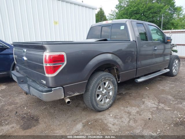 Photo 3 VIN: 1FTFX1CT2EFC69669 - FORD F-150 