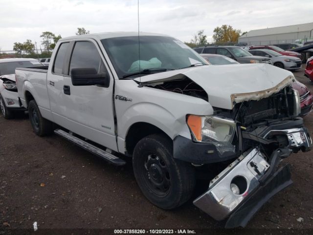 Photo 0 VIN: 1FTFX1CT7DKD66419 - FORD F-150 