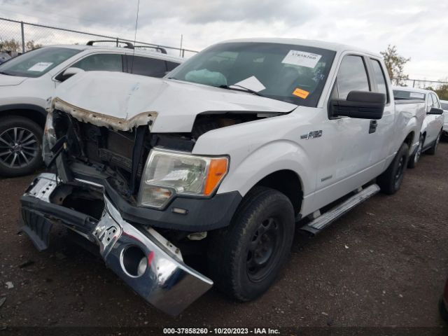 Photo 1 VIN: 1FTFX1CT7DKD66419 - FORD F-150 