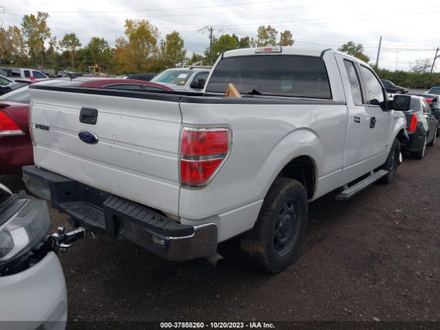 Photo 3 VIN: 1FTFX1CT7DKD66419 - FORD F-150 