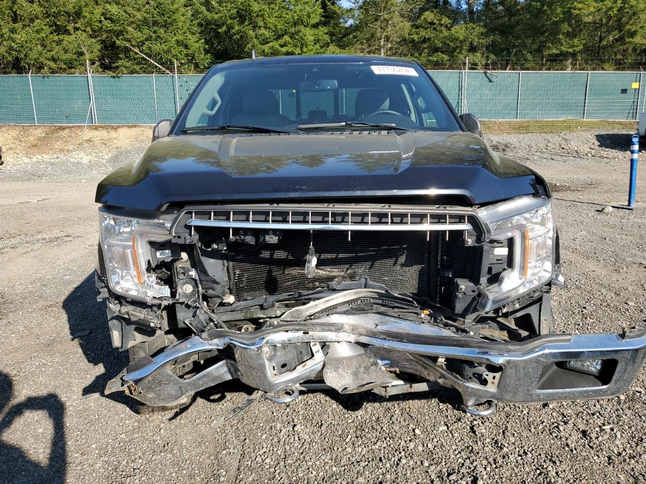 Photo 4 VIN: 1FTFX1E48KKC15544 - FORD F-150 