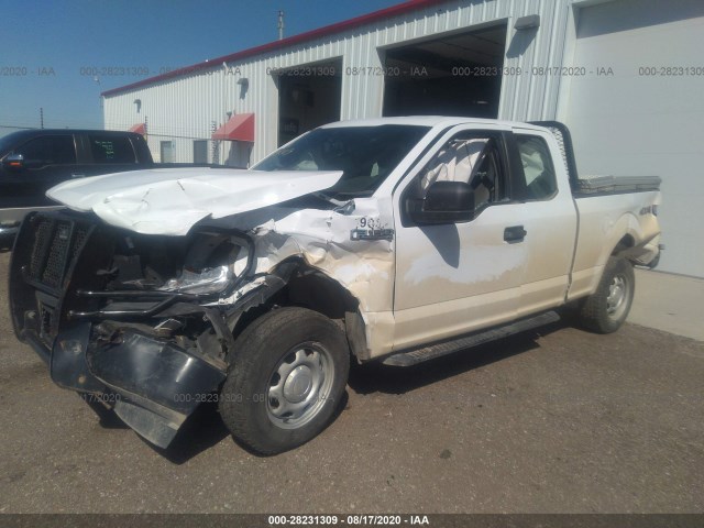 Photo 1 VIN: 1FTFX1E52KKE41345 - FORD F-150 