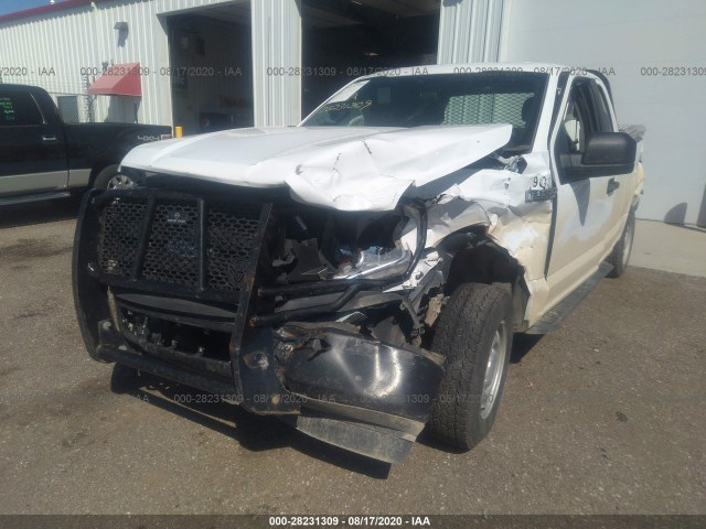 Photo 5 VIN: 1FTFX1E52KKE41345 - FORD F-150 