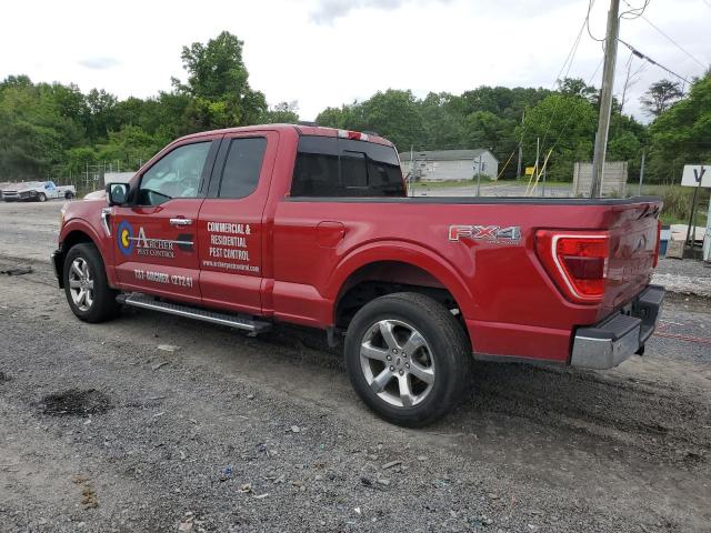 Photo 1 VIN: 1FTFX1E81MKD20495 - FORD F-150 