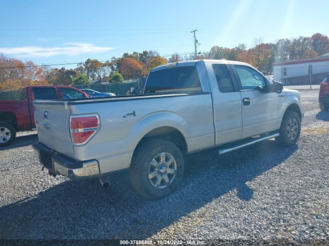 Photo 3 VIN: 1FTFX1EF0DFA88558 - FORD F-150 