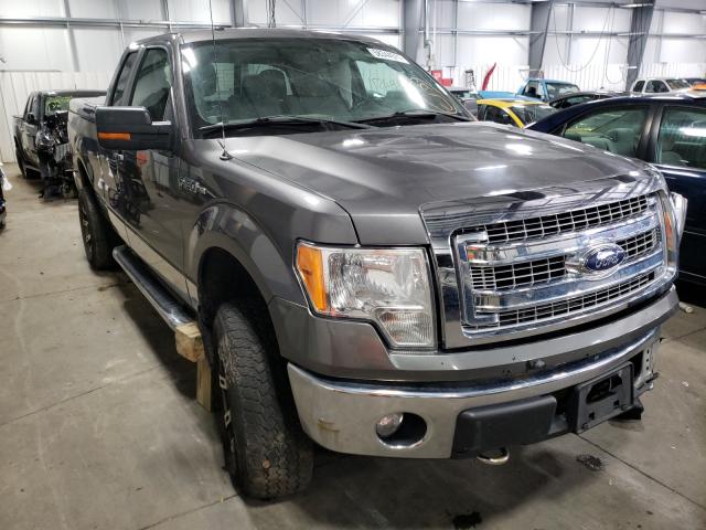 Photo 0 VIN: 1FTFX1EF0DFB98655 - FORD F150 SUPER 