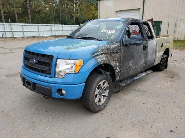 Photo 8 VIN: 1FTFX1EF0DFD78332 - FORD F150 SUPER 