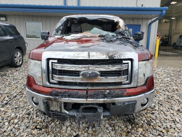 Photo 4 VIN: 1FTFX1EF0EKD54282 - FORD F-150 