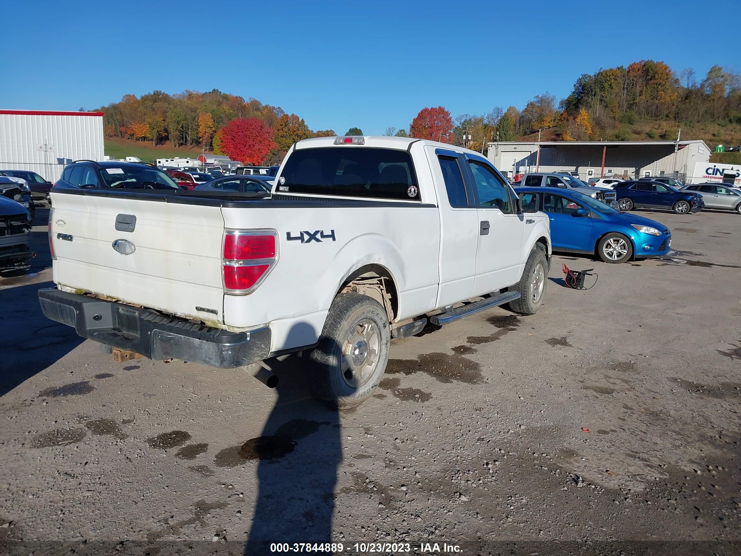 Photo 3 VIN: 1FTFX1EF1BFB31057 - FORD F-150 