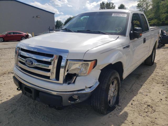 Photo 1 VIN: 1FTFX1EF1BFD19061 - FORD F150 SUPER 