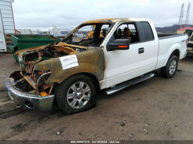 Photo 1 VIN: 1FTFX1EF1BKD76612 - FORD F-150 