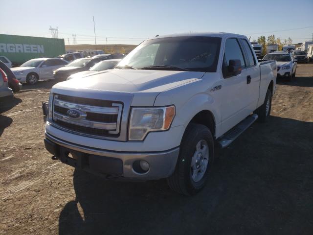 Photo 1 VIN: 1FTFX1EF1DFB38285 - FORD F150 SUPER 