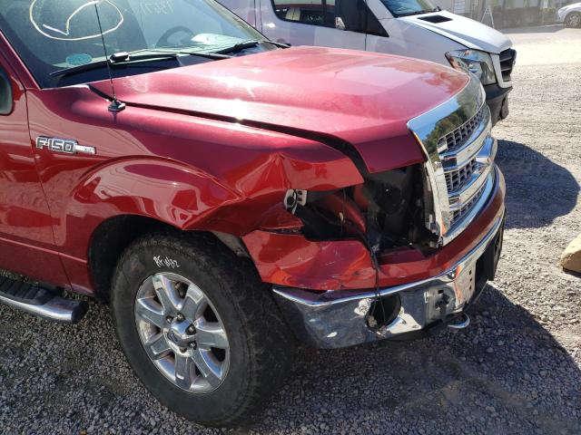 Photo 8 VIN: 1FTFX1EF1DFB58567 - FORD F150 SUPER 