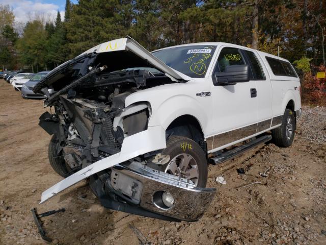 Photo 1 VIN: 1FTFX1EF1DFC05239 - FORD F150 SUPER 