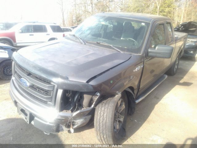 Photo 1 VIN: 1FTFX1EF1DFD95169 - FORD F-150 