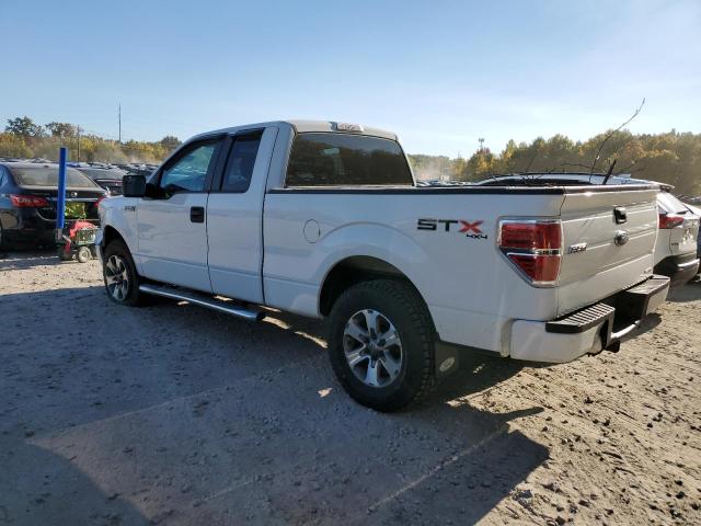 Photo 1 VIN: 1FTFX1EF1DKF07668 - FORD F150 SUPER 