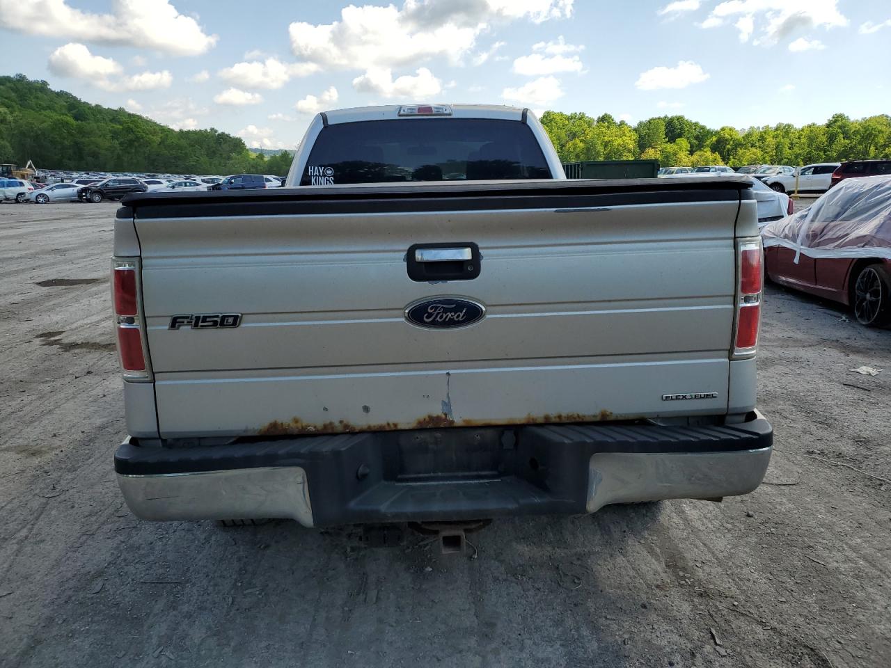 Photo 5 VIN: 1FTFX1EF1EKE18152 - FORD F-150 