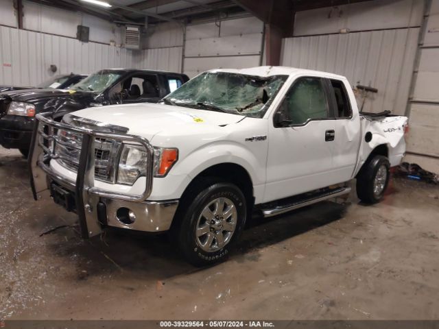 Photo 1 VIN: 1FTFX1EF2DKD25333 - FORD F-150 