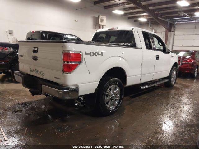 Photo 3 VIN: 1FTFX1EF2DKD25333 - FORD F-150 