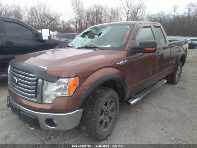 Photo 1 VIN: 1FTFX1EF3BFA01538 - FORD F-150 