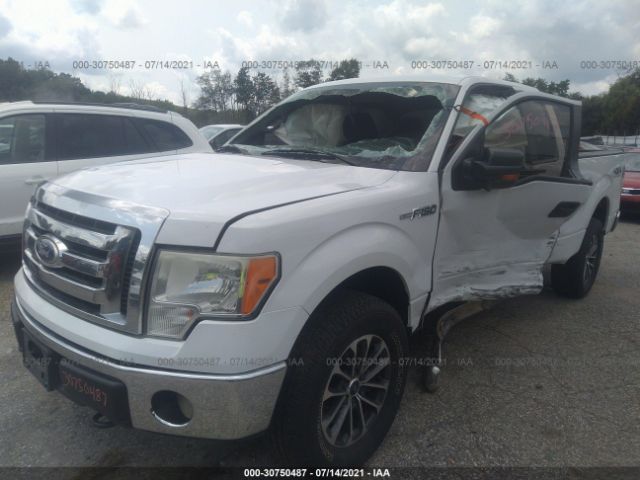 Photo 1 VIN: 1FTFX1EF3BFB04894 - FORD F-150 